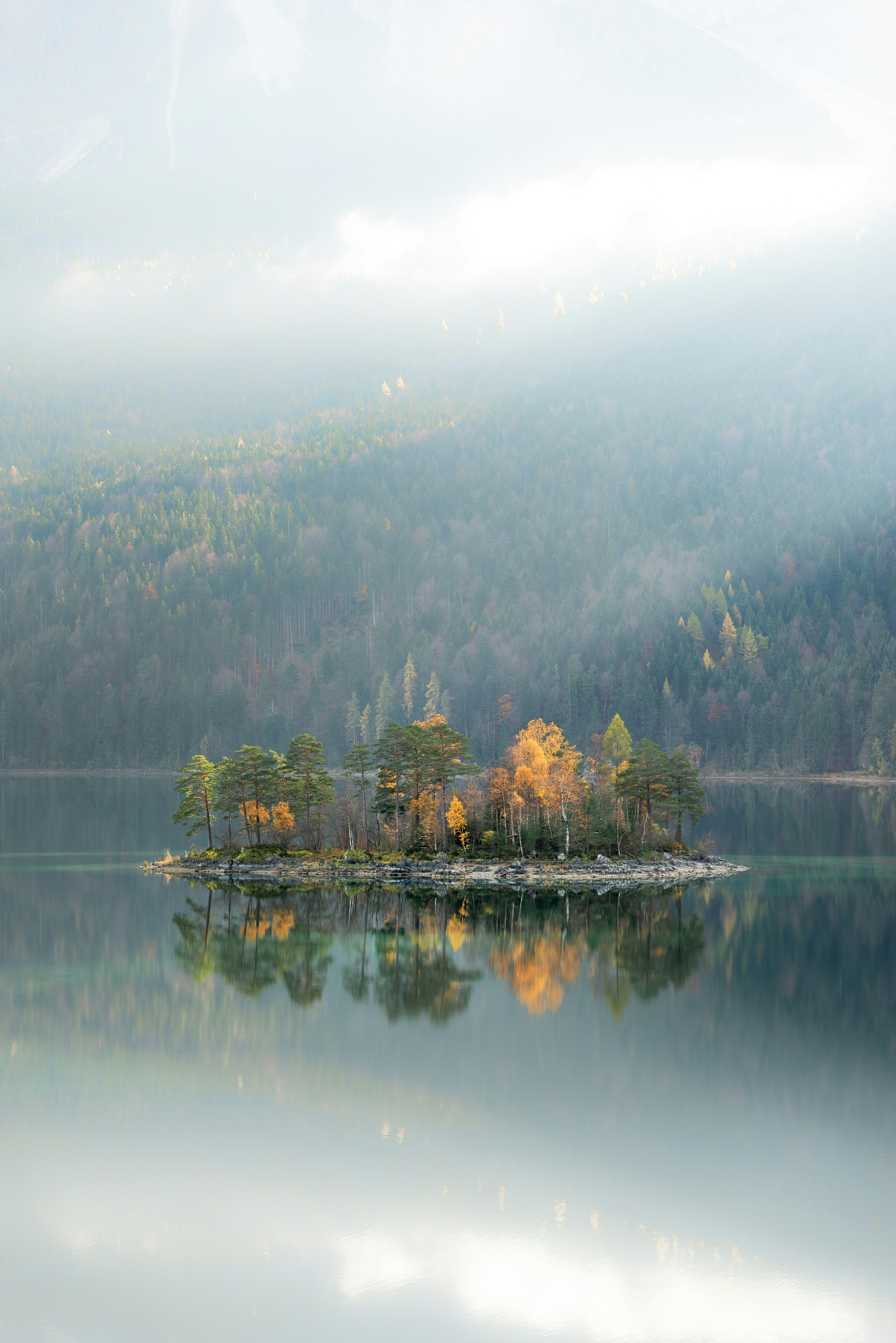 landscape photography of trees and mountain